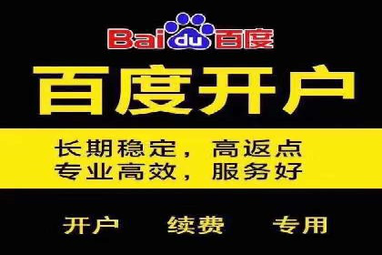 百度推广优化实战技巧与案例分享